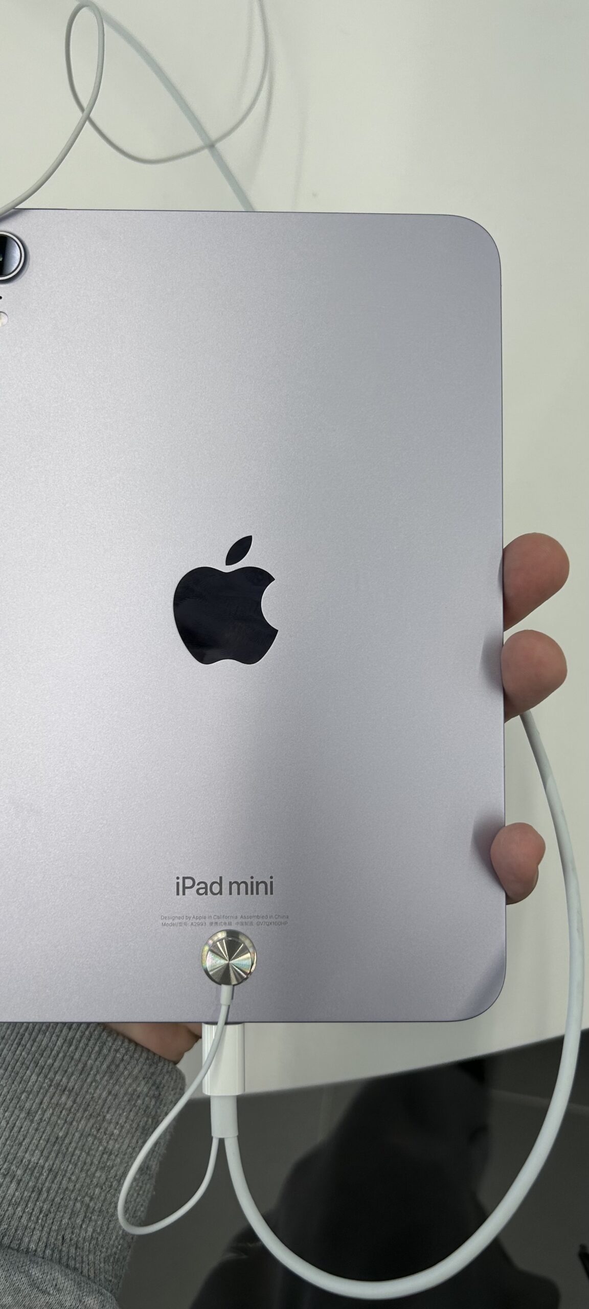 Current Apple iPad mini back panel with Apple logo, held with an Apple Pencil